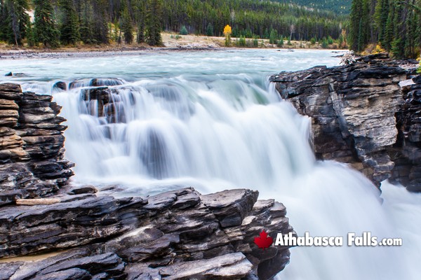Athabasca Falls During June