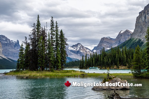 Maligne Lake Boat Cruise During June