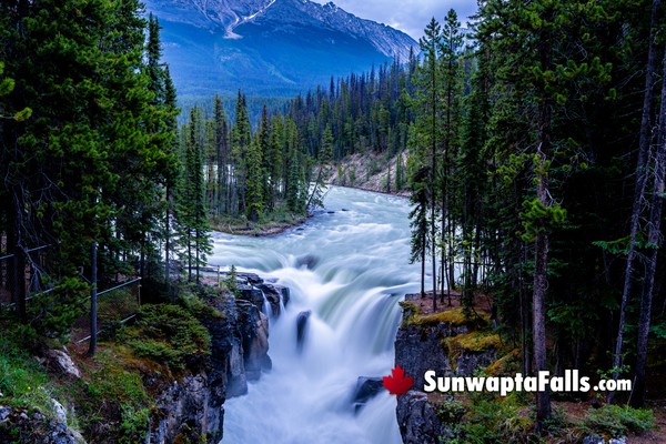 Sunwapta Falls in June